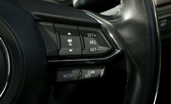 2017 Mazda CX-9 - Image 19